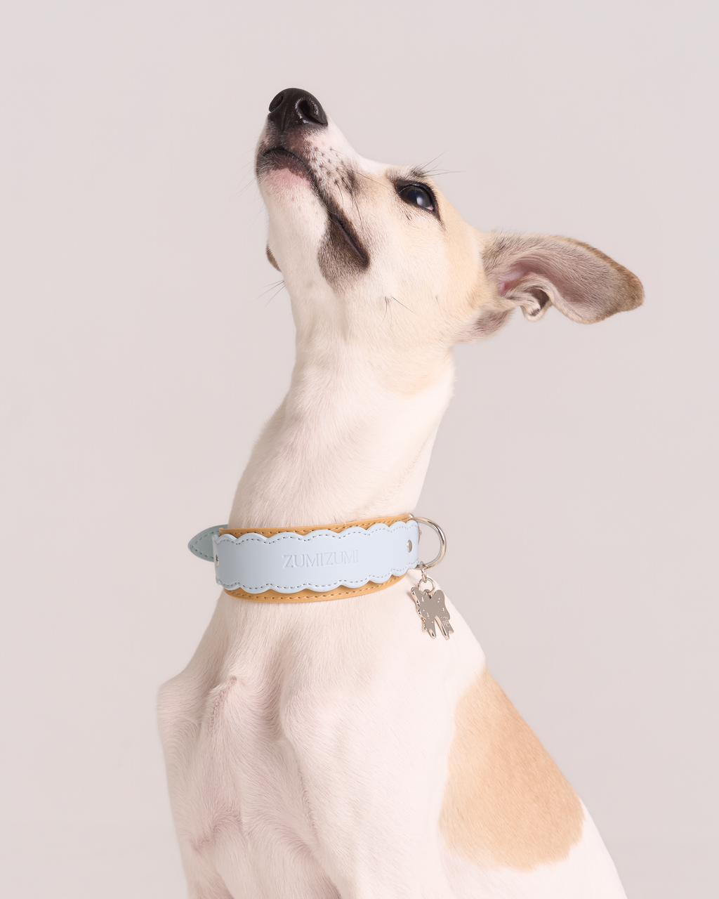Lederhalsband Mayfair Scalloped – Zumizumi
