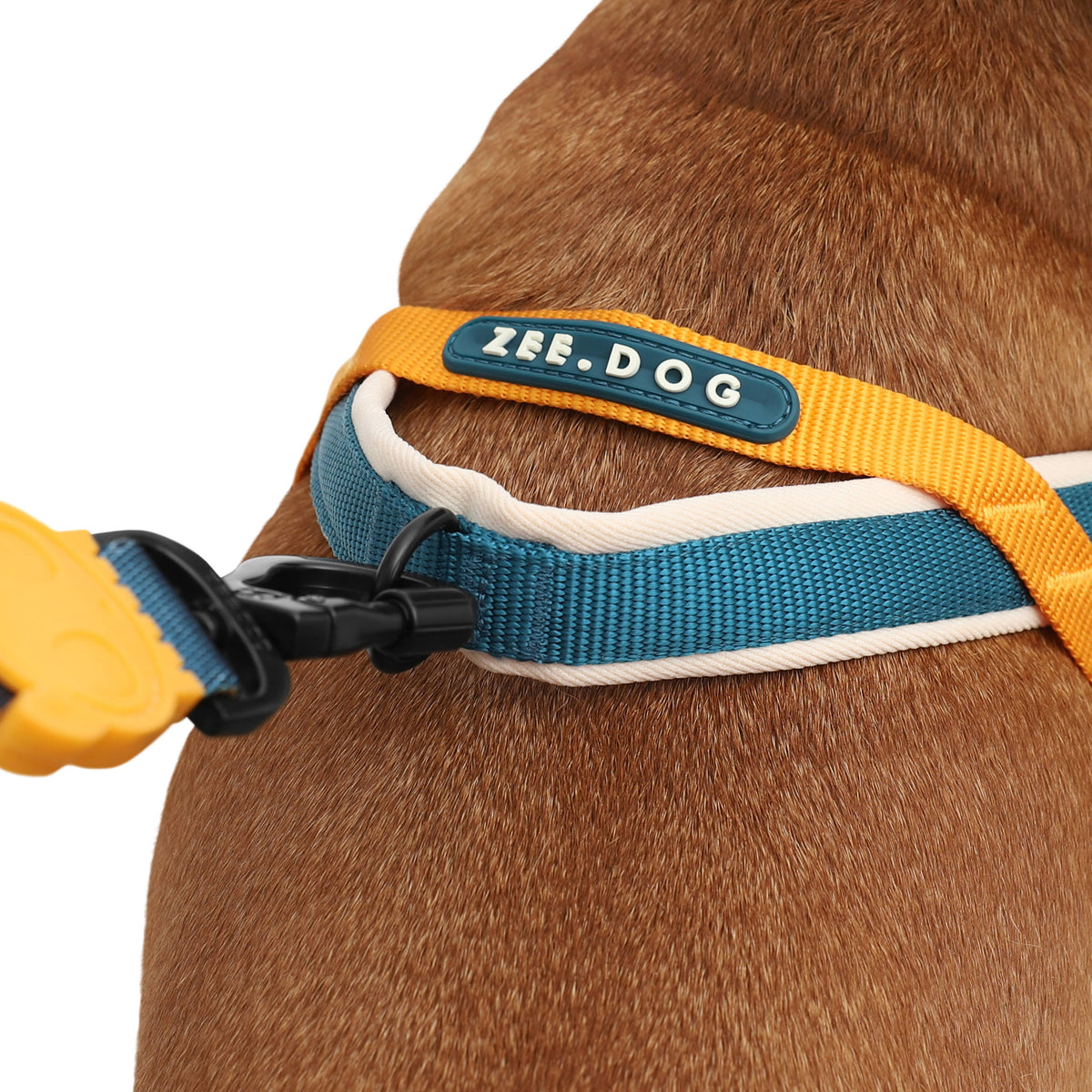 Pettorina norvegese Softer-Walk Voyage – Zee.Dog