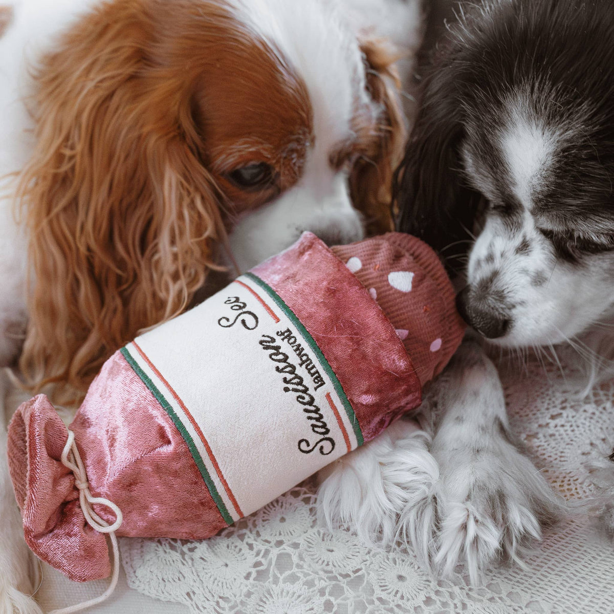 Gioco di arricchimento per cani SAUCISSON SEC – Lambwolf Collective