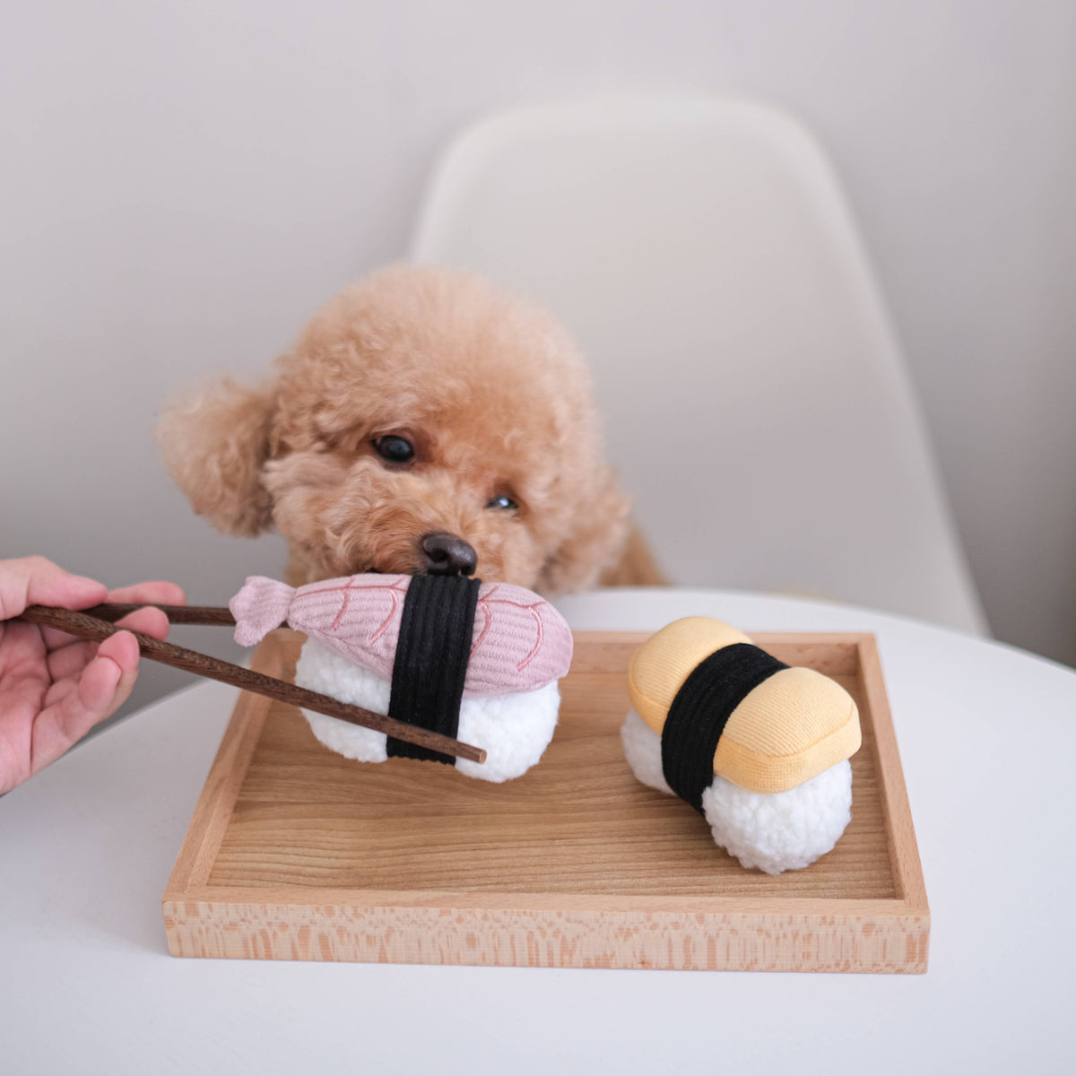 Gioco olfattivo con squeaker per cani SUSHI – Lambwolf Collective