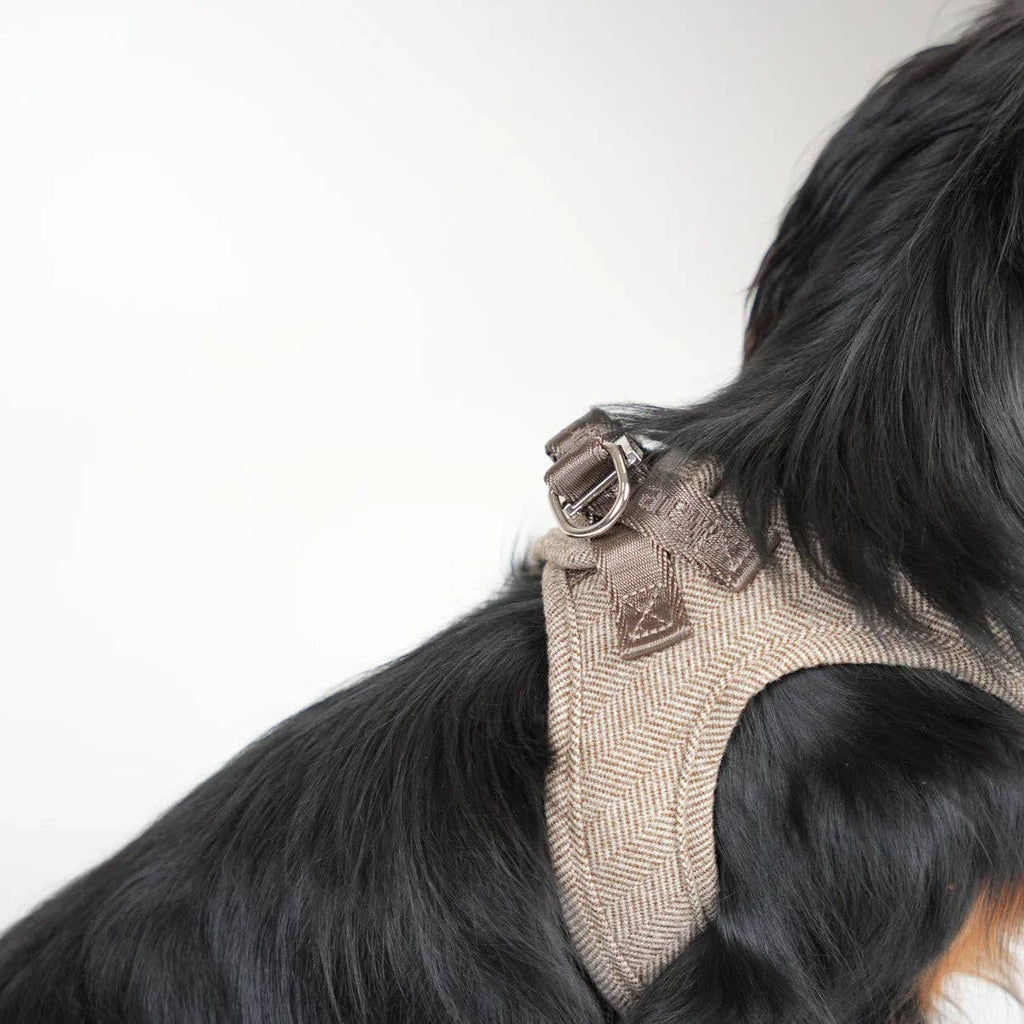 Hundegeschirr Step-In Saga | Mokka: M