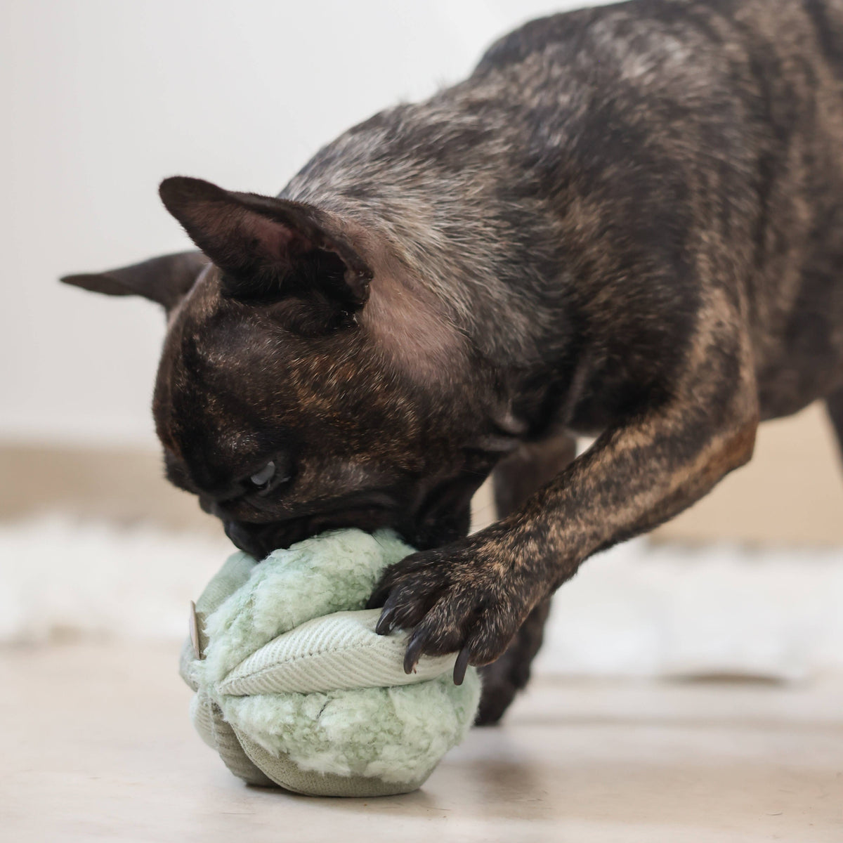 Beschäftigungsspielzeug für Hunde TOTO Small Grün – Lambwolf Collective