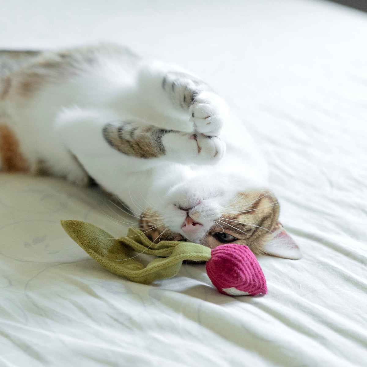 Gioco con erba gatta KITTY RADISH Beetroot – Lambwolf Collective