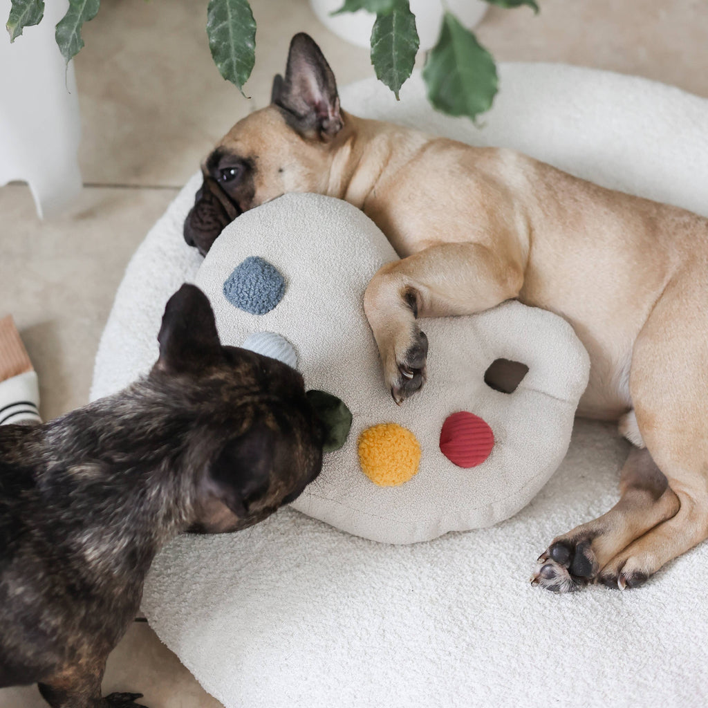 Gioco educativo per cani COLOR PALETTE – Lambwolf Collective