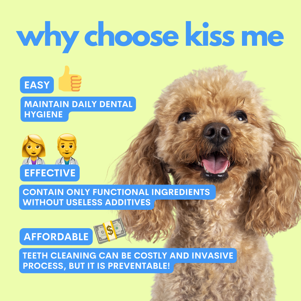 Spray dentale per cani Kiss Me 100 ml – JAMPY