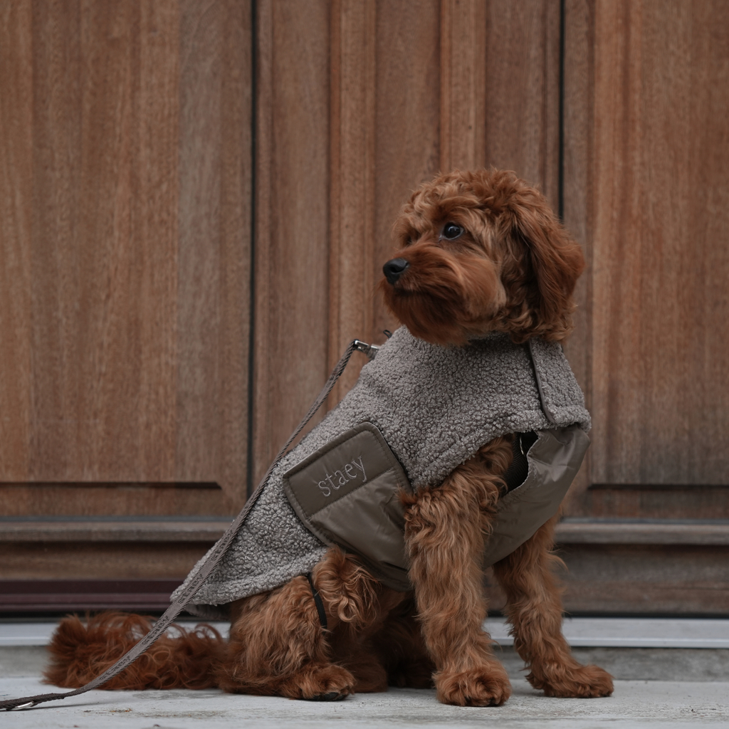 Cappotto Teddy Taupe – Staey
