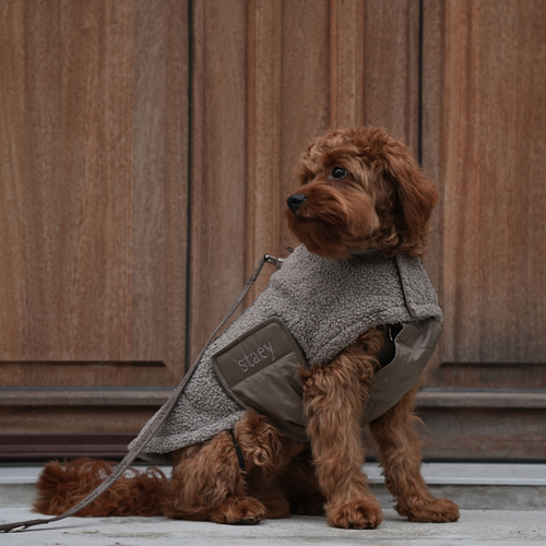 Cappotto Teddy Taupe – Staey