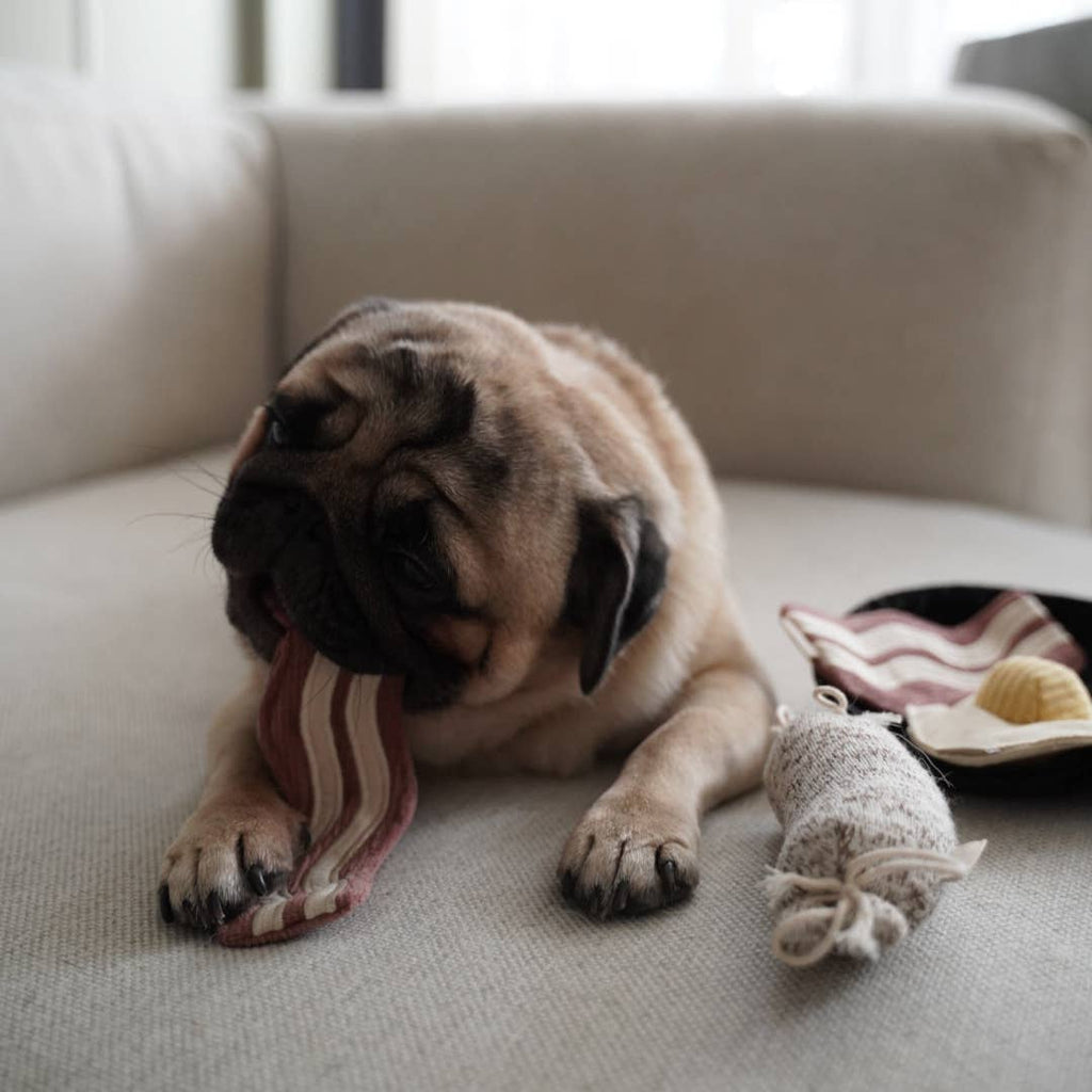 Bfast Set // ANREICHENDES HUNDESPIELZEUG