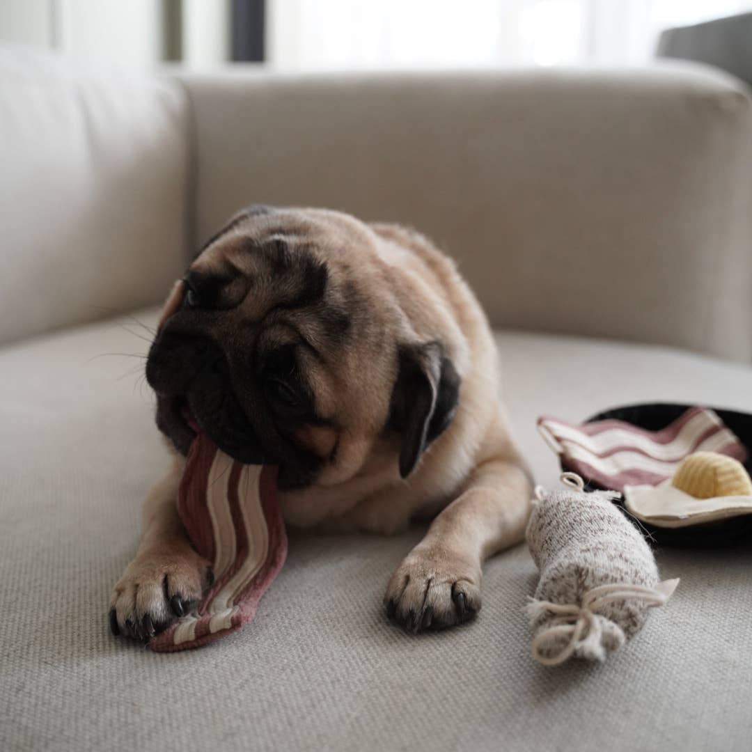 Bfast Set // ANREICHENDES HUNDESPIELZEUG