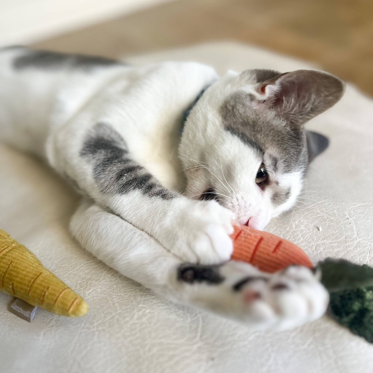Gioco con erba gatta KITTY BABY CARROTS – Lambwolf Collective