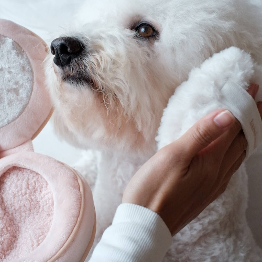 Gioco olfattivo per cani BLUSH – Lambwolf Collective