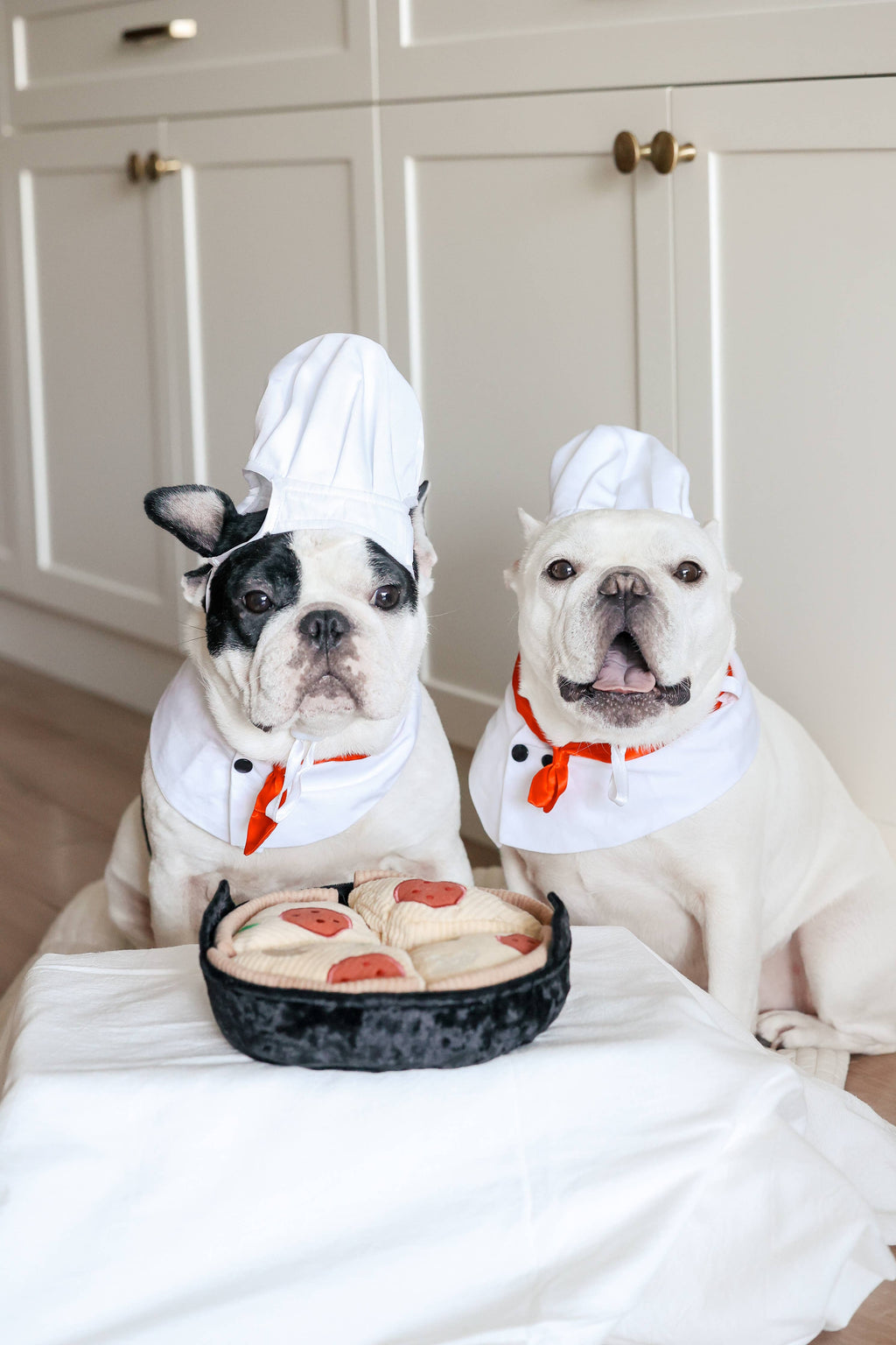 Hundespielzeug „Deep Dish Pizza“ zur Bereicherung