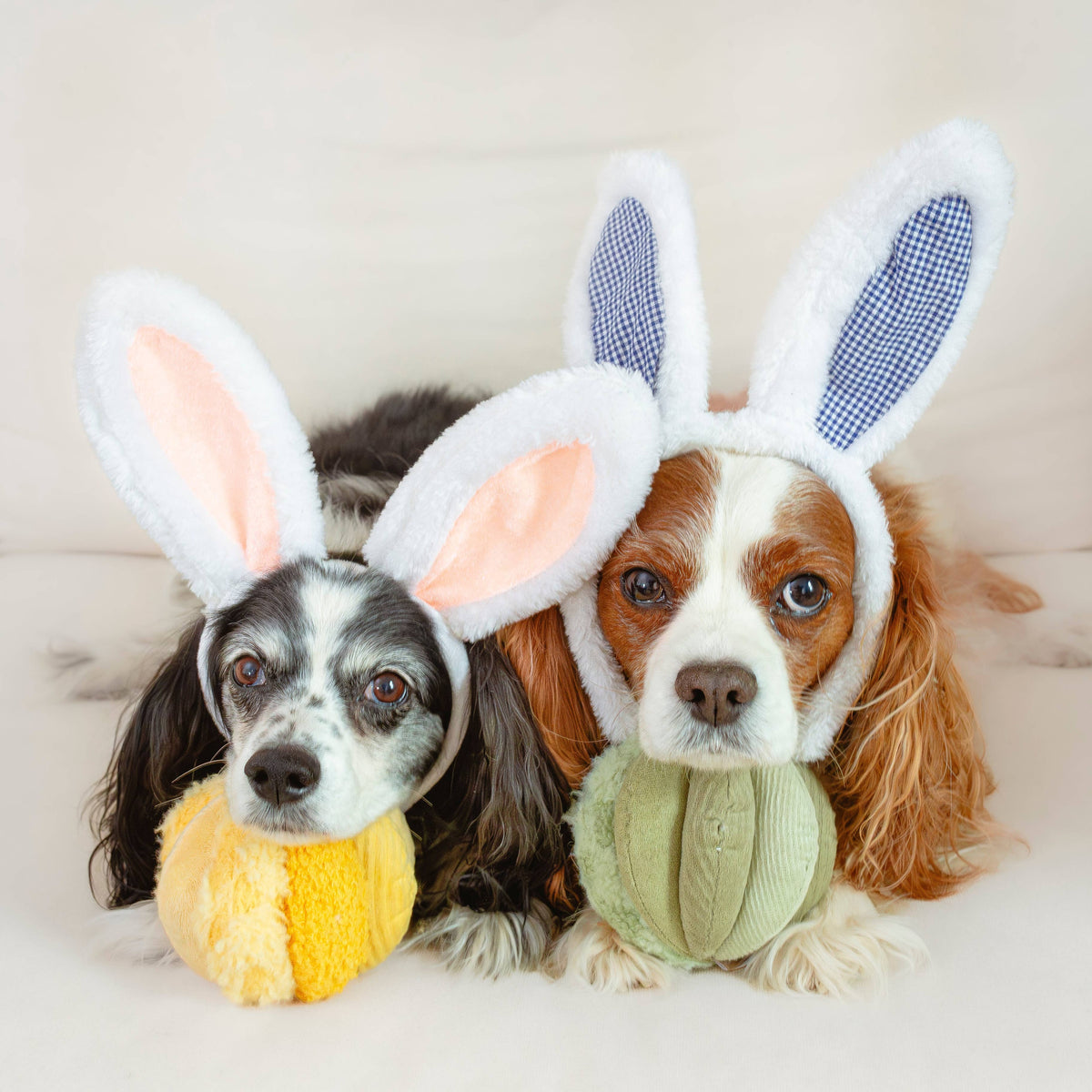 Beschäftigungsspielzeug für Hunde TOTO Small Grün – Lambwolf Collective