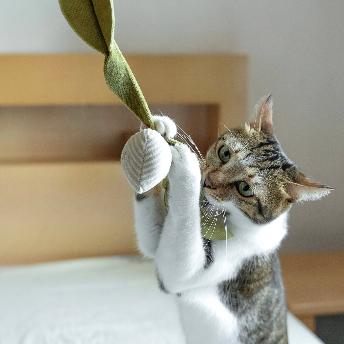 Gioco con erba gatta KITTY RADISH Beetroot – Lambwolf Collective