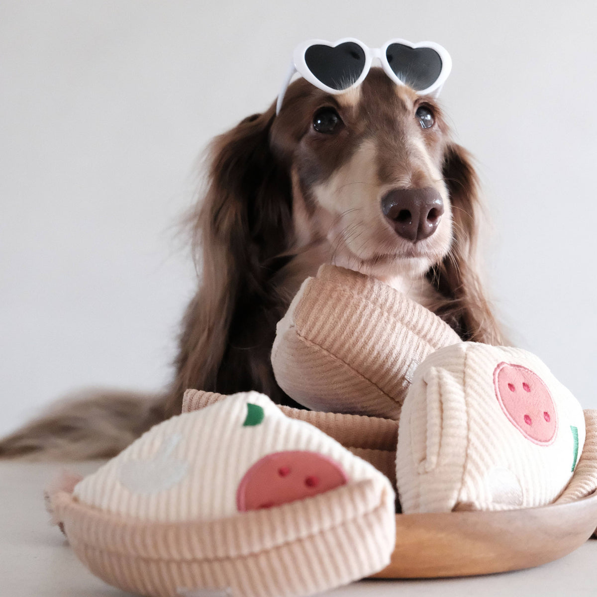 Hundespielzeug „Deep Dish Pizza“ zur Bereicherung