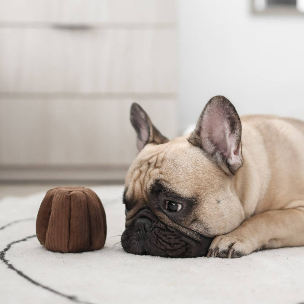 Gioco olfattivo con squeaker per cani CANELÉ – Lambwolf Collective