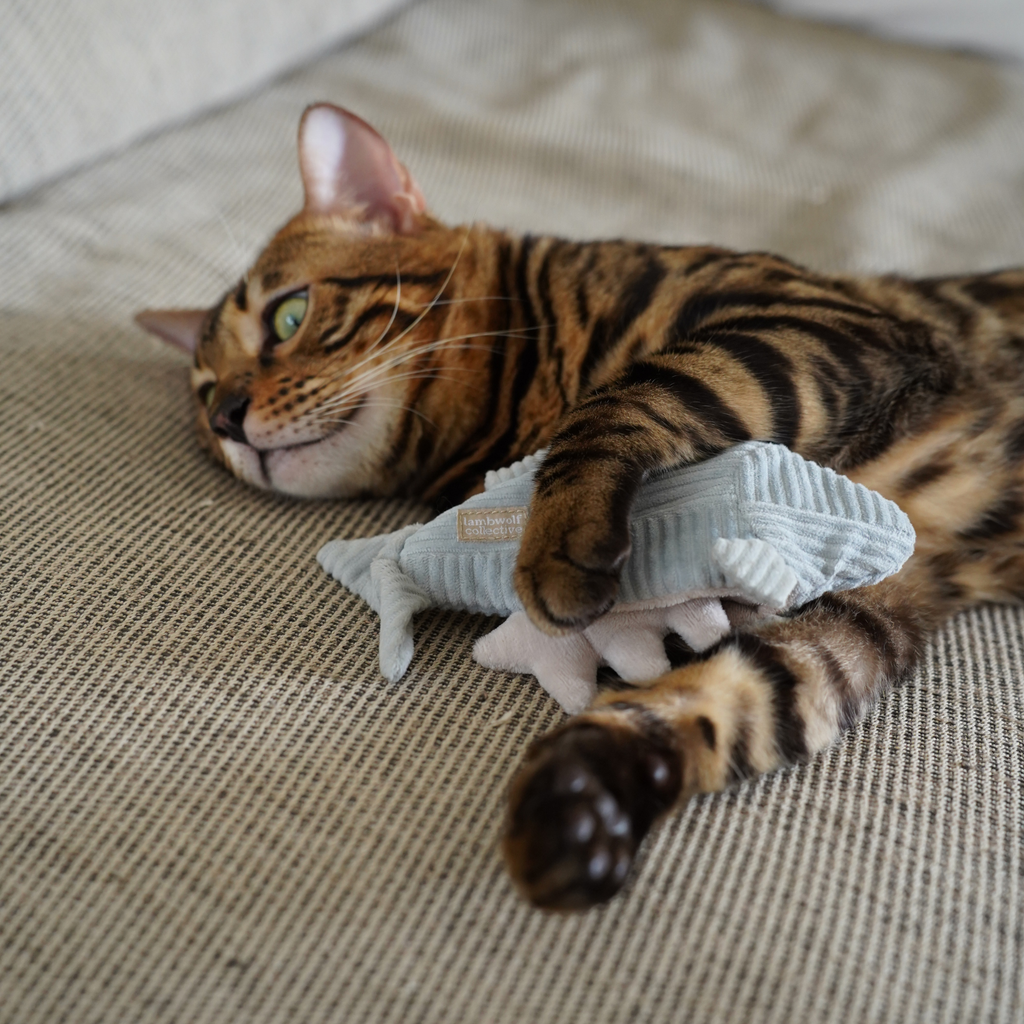 Gioco per gatti KITTY TROUT – Lambwolf Collective