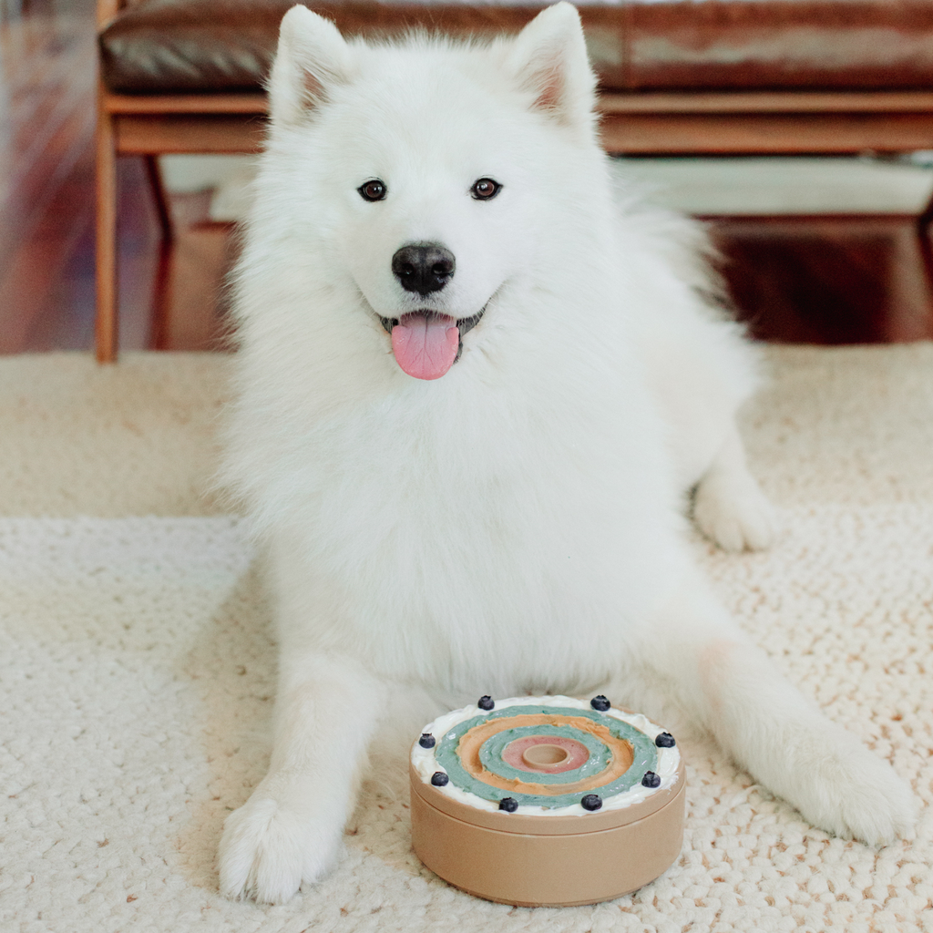 Lick Mat e Slow Feeder 3-in-1 BENTO Dune – Lambwolf Collective
