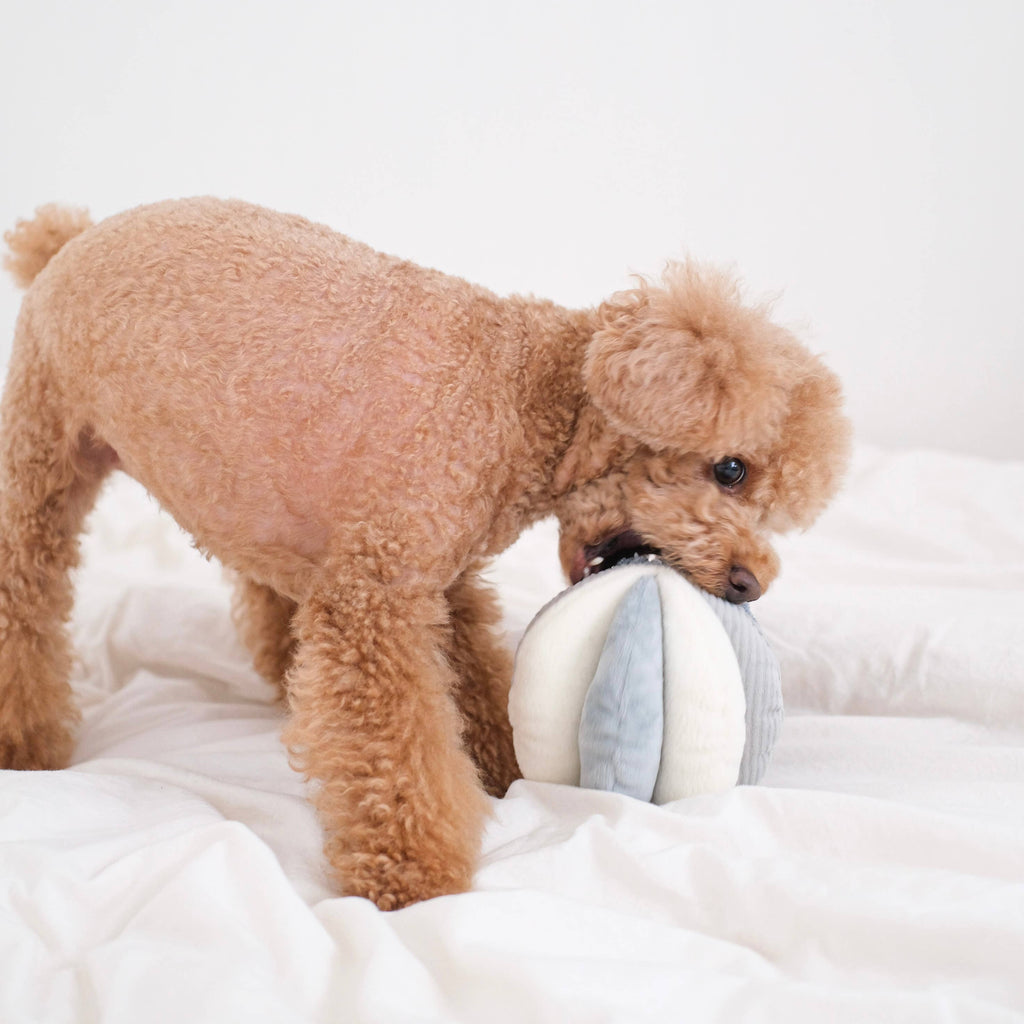 Schnüffelspielzeug für Hunde TOTO Rosa – Lambwolf Collective