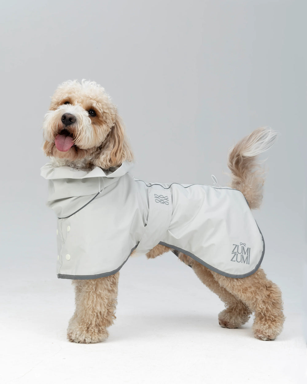 Regenjacke für Hunde Heath – Zumizumi