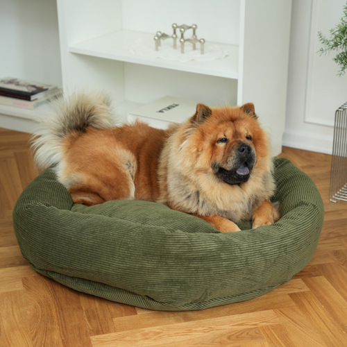 Cuccia Luna 3.0 Moss Green in Velluto a Coste – Staey