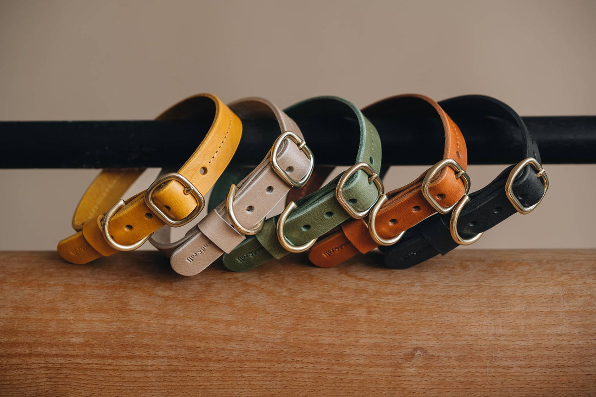 Collare in pelle per cani Fir Marrone, Taglia XS – BAND&ROLL