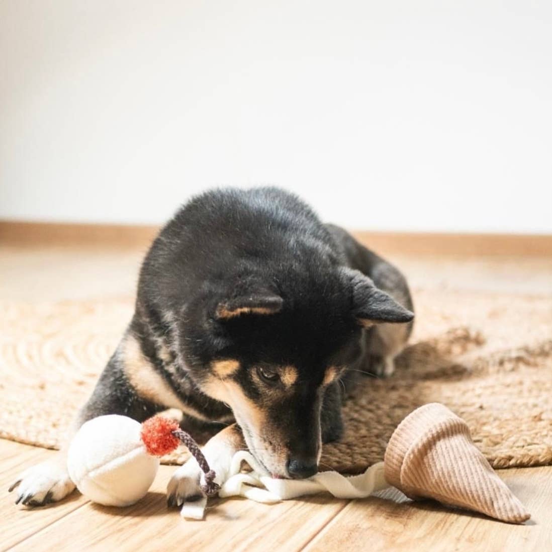 Gioco interattivo per cani ICE CREAM POP – Lambwolf Collective