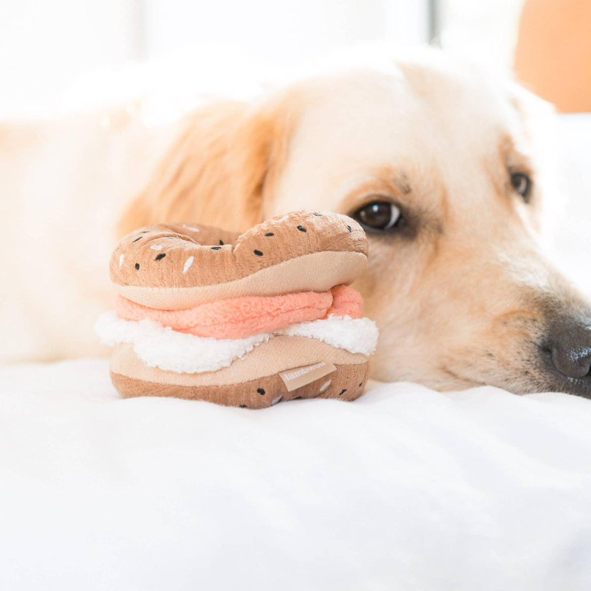 Set gioco per cani BAGEL & CUCUMBER – Lambwolf Collective