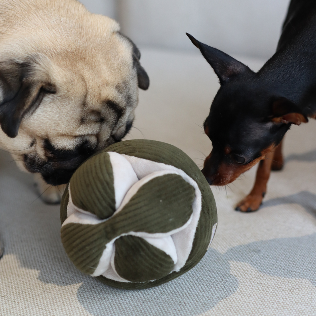 Dog Snuffle Toy MONTI Mint – Lambwolf Collective