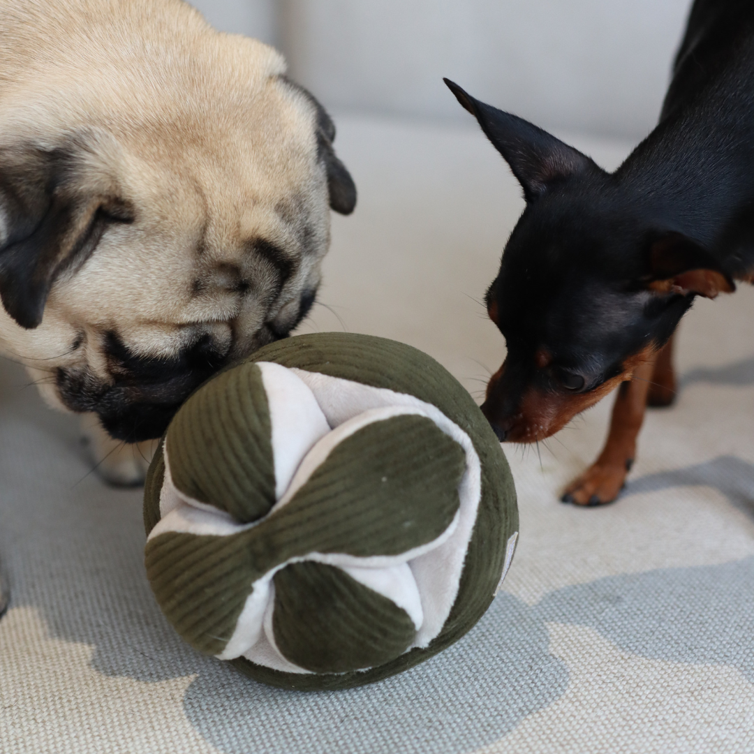 Gioco olfattivo per cani MONTI Mint – Lambwolf Collective