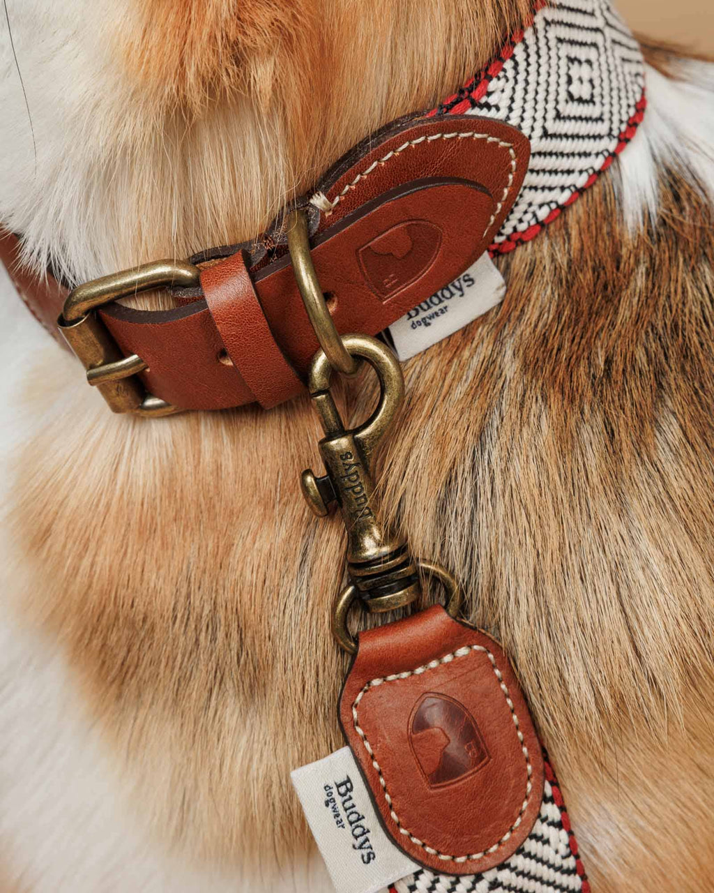 Guinzaglio Capri Beach Day – Buddys Dogwear