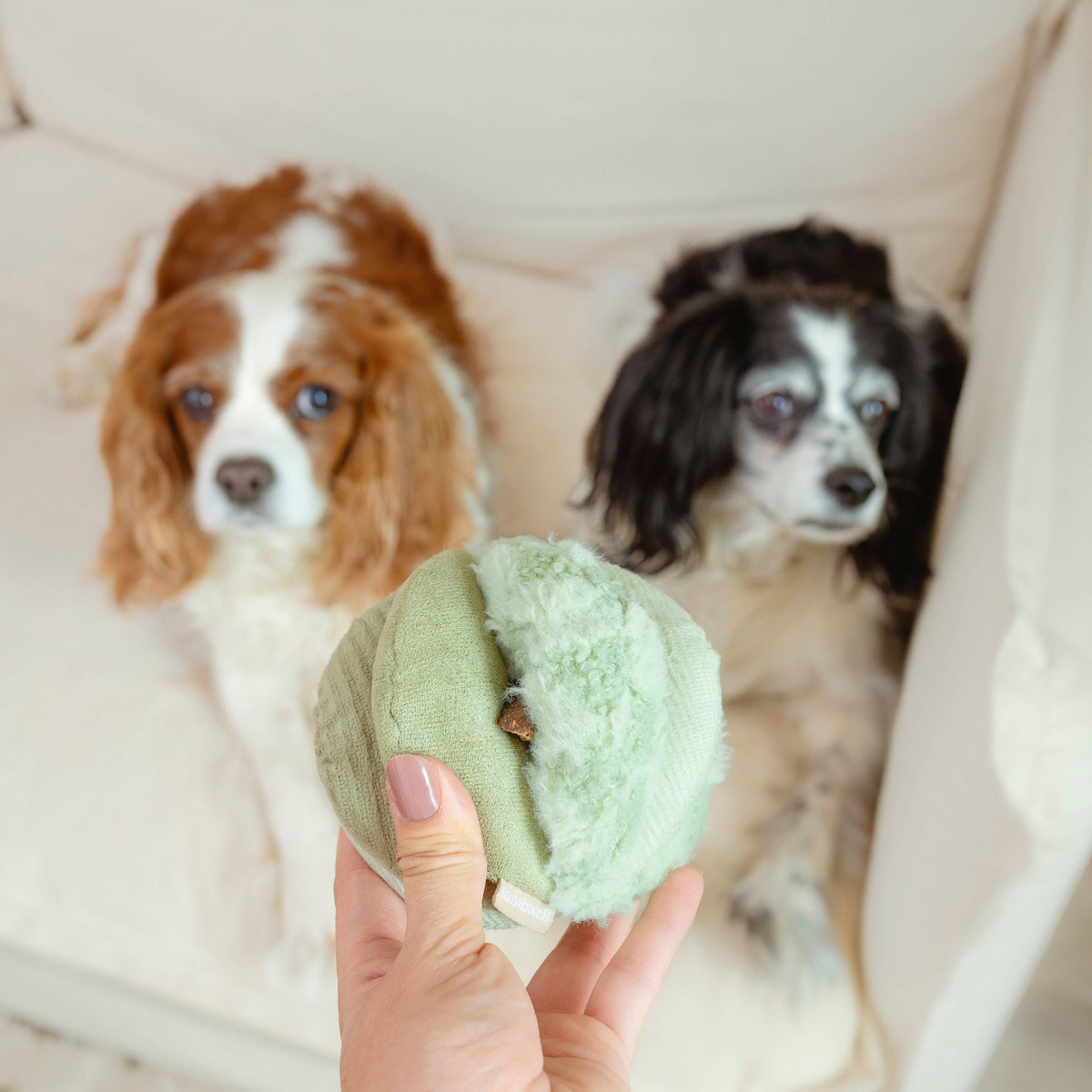 Beschäftigungsspielzeug für Hunde TOTO Small Grün – Lambwolf Collective