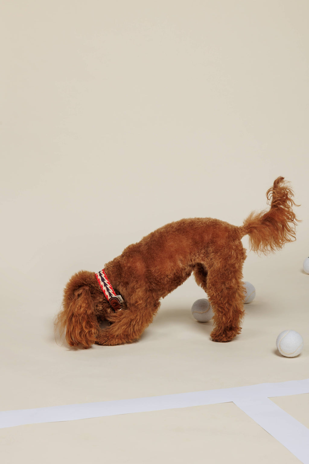 Collare Peruvian Petite Freccia Rossa – Buddys Dogwear
